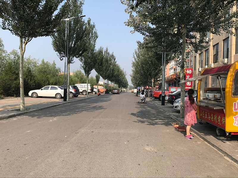 =育才路西延工程(炮团—西环)